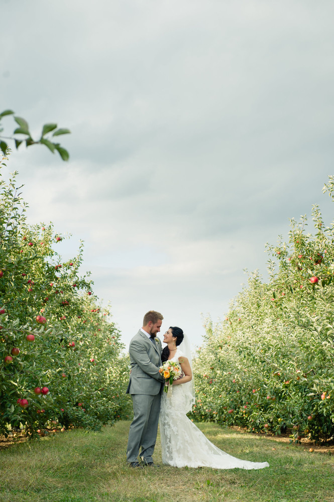 117_12260.zt_.1500.1000