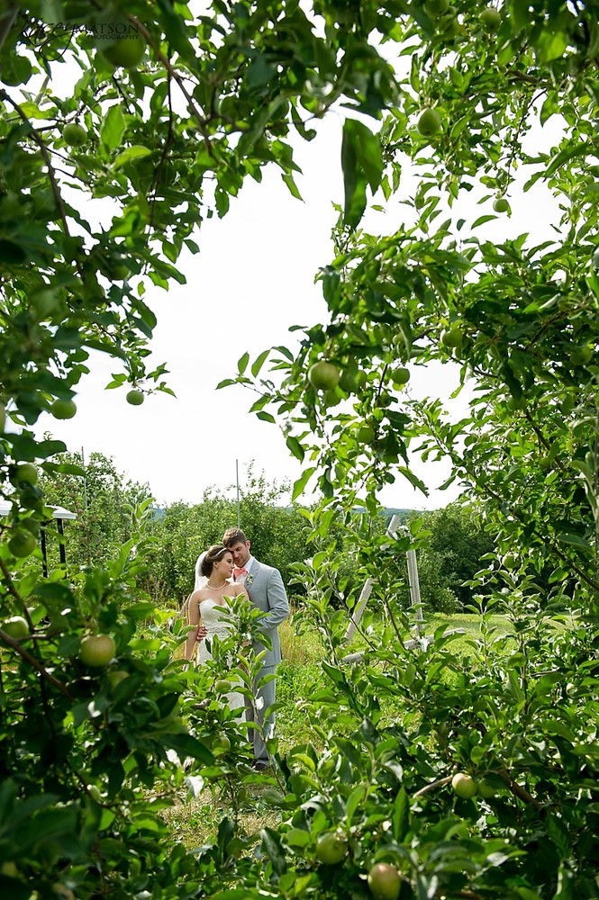 117_14433.zt_.1500.1000