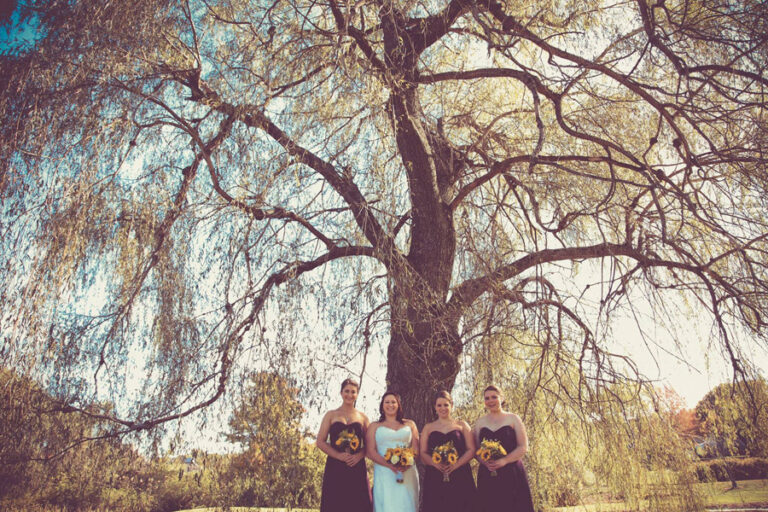 22829677_10154848701351576_8566897747866680194_o