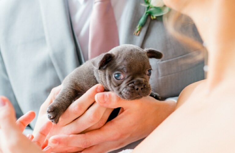 img gallery erin murphy justin morhardt 24