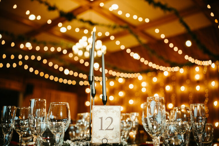 Alena + Don Best Day Ever