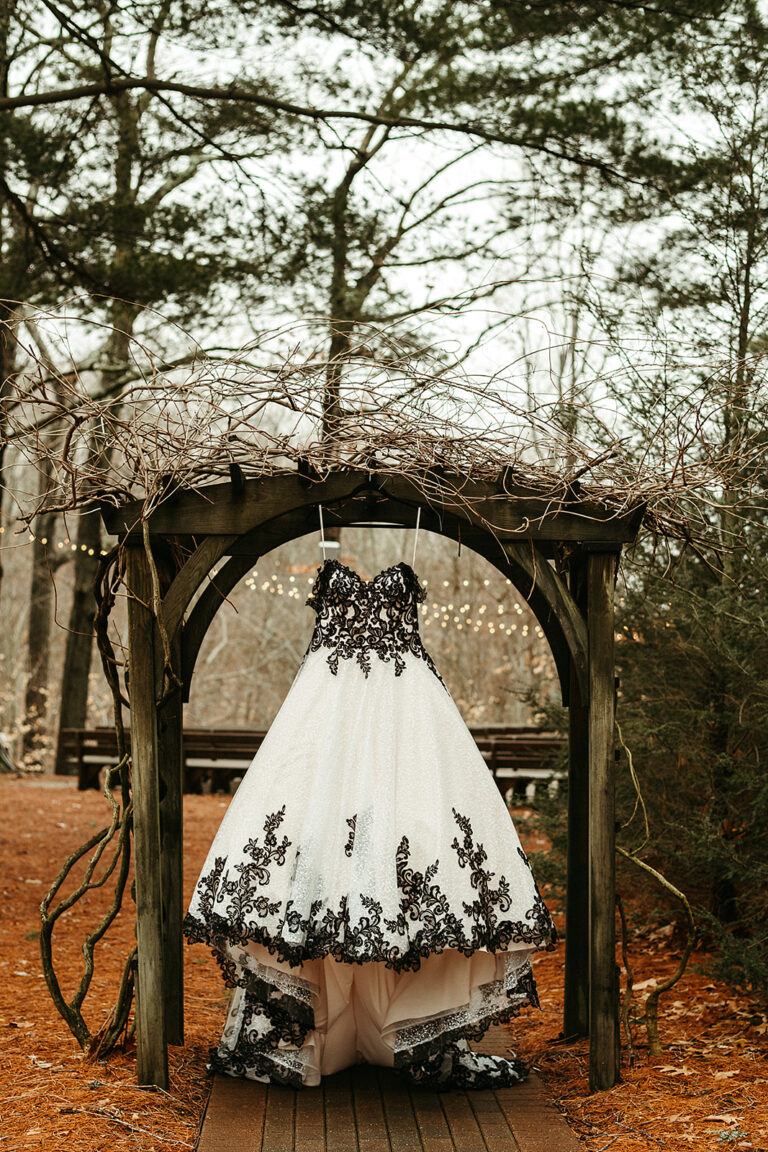 Alena + Don Best Day Ever