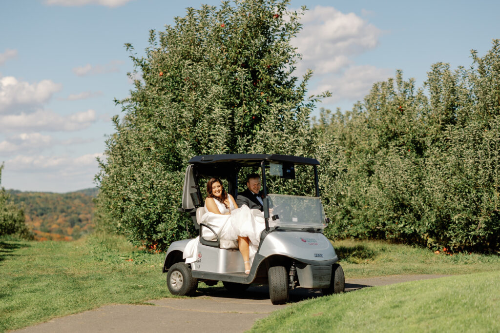 dekoeyer-134 dekoeyer 134